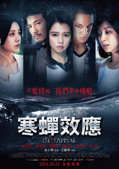 喀麦隆护照作假